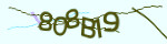 Mã bảo mật