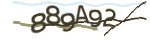 Mã bảo mật