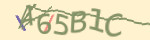 Mã bảo mật