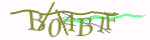 Mã bảo mật